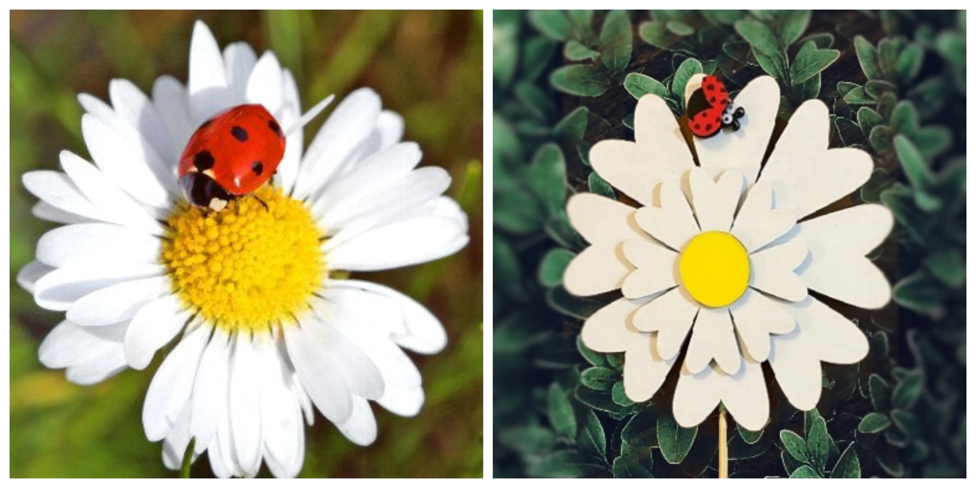 Daisy and Ladybug Wooden Garden Stake with Matte Finish