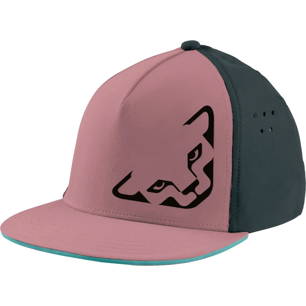 Dynafit | Tech Trucker Cap