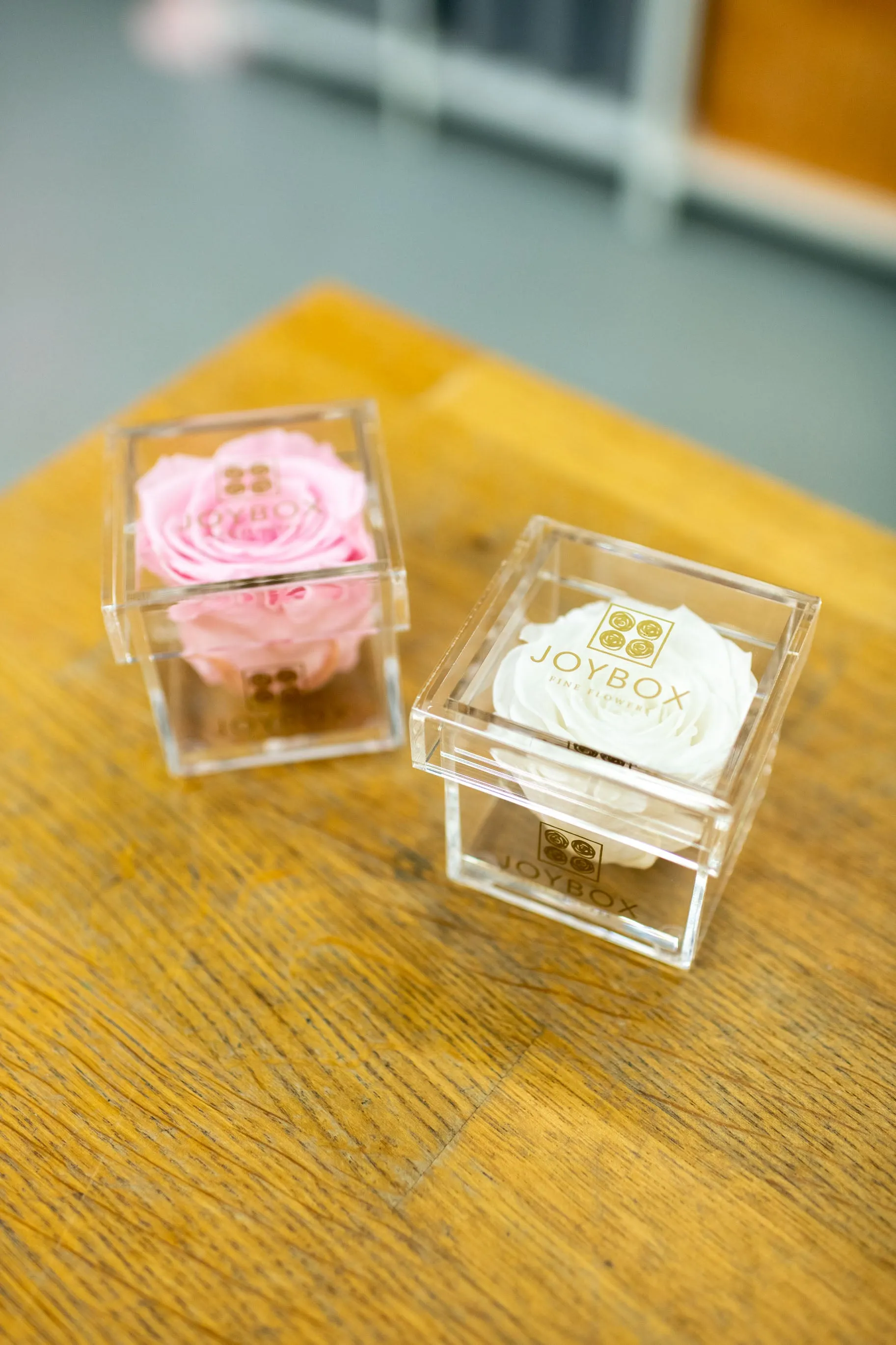 Everlasting Single Rose- Acrylic Box (choose color)