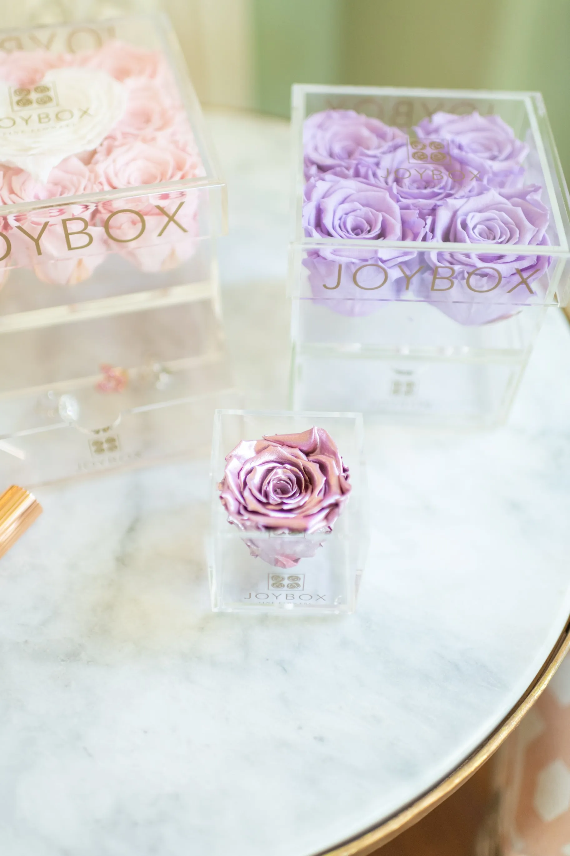 Everlasting Single Rose- Acrylic Box (choose color)