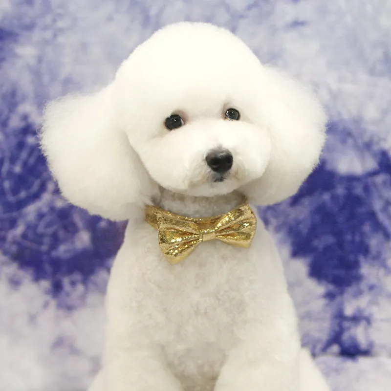 Golden Bowknot Pet Collar-A017