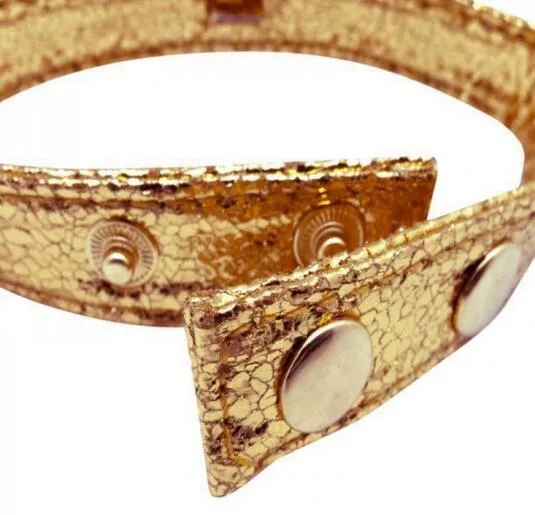 Golden Bowknot Pet Collar-A017
