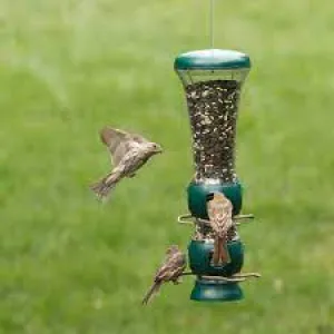 HG850098D Bird Feeder Select-A-Bird Tube Green Plastic
