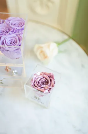 Valentine Everlasting Single Rose