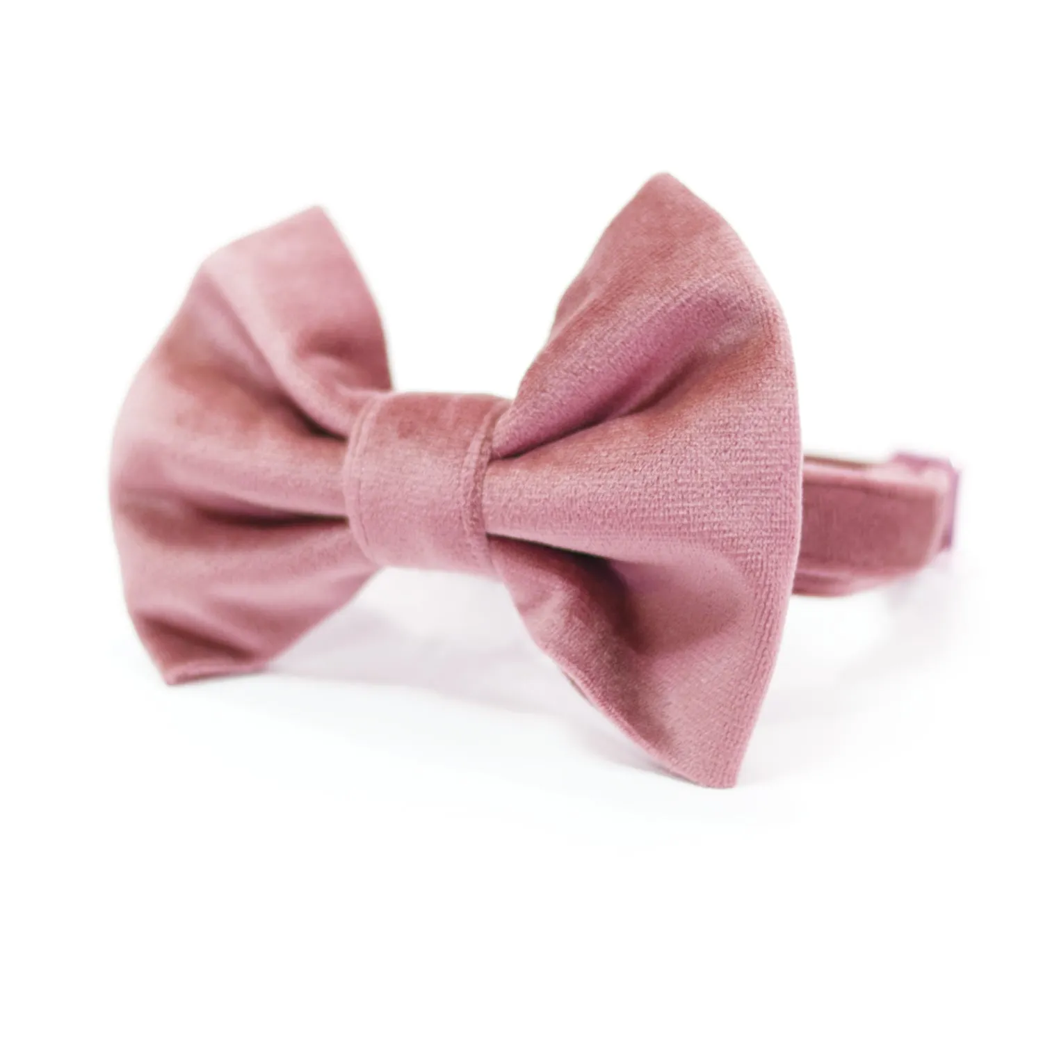 Velvet Rose Blossom Classic Dog Collar   Bow Tie