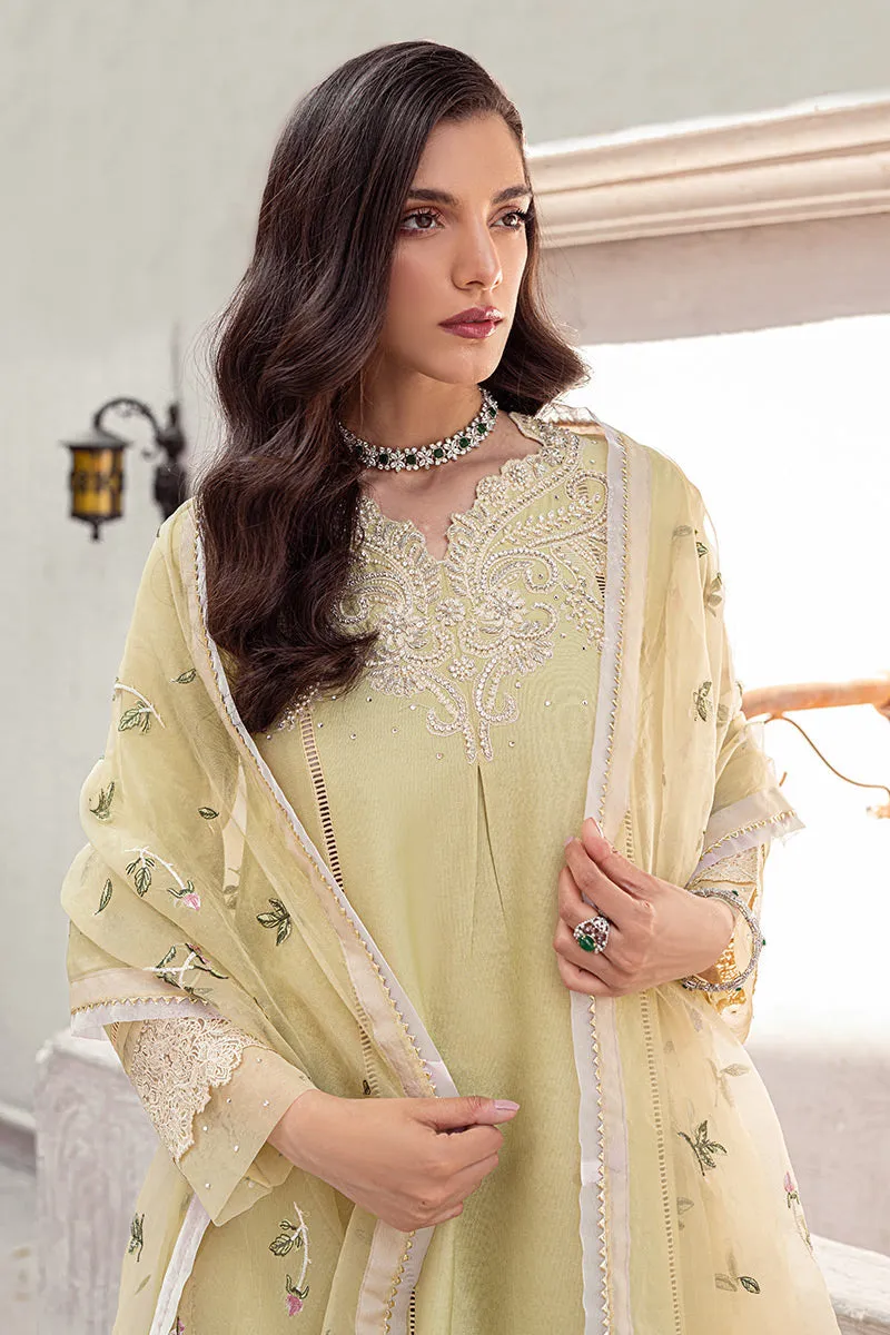 YOUNG WHEAT MLE22-05 | Mushq Eid Pret Drop 2 | 3Pc Cotton Net Suit