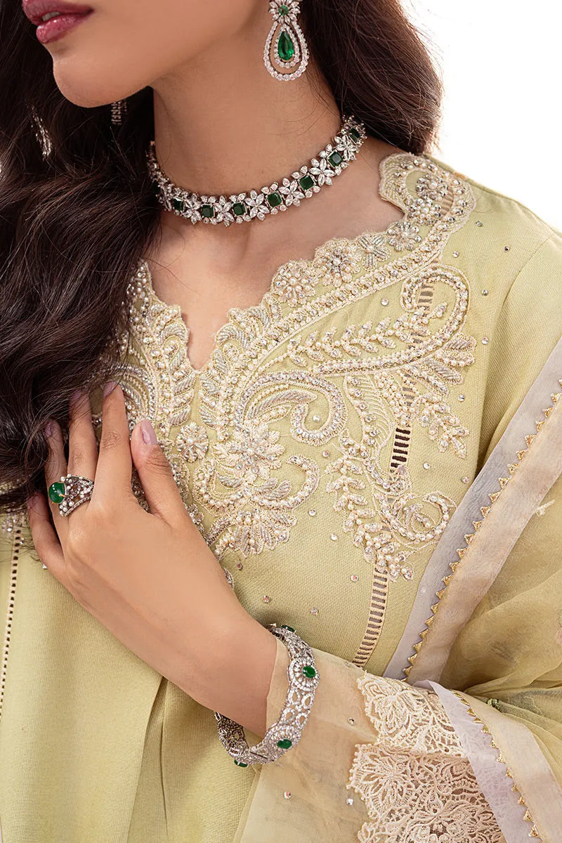 YOUNG WHEAT MLE22-05 | Mushq Eid Pret Drop 2 | 3Pc Cotton Net Suit
